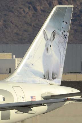 Frontier Airbus A320-214 N219FR Snowshoe Hare-Jack, Phoenix Sky Harbor, December 20, 2015